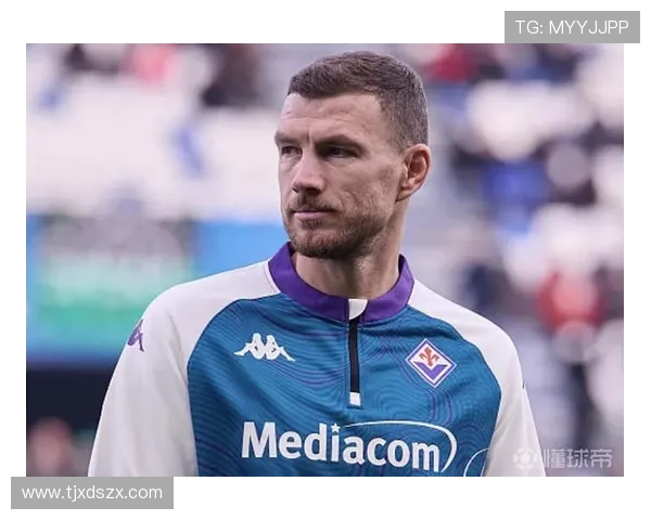 罗马诺沙尔克敲定39岁哲科加盟